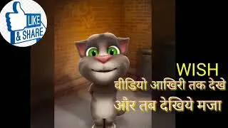 Talking tom holi funny videos