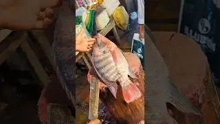 Amazing Big Tilapia Fish Cutting Skills Live In Fish Market#shorts🐟🐟
