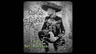 CHRIS GABRIEL - A MI MANERA COVER no tengo derechos de autor