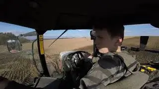Bodenbearbeitung zur Rübe mit Steyr 6140 Profi und Bremer Grubber