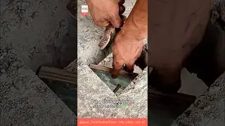 QUICK PATCH &mdash; closing the hole in a minute 😲🧱 #shorts #lifehack #diy #concrete #skills