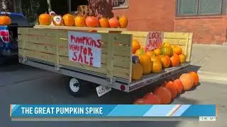NBC: Americans Face Holiday Price Hikes With Candy, Turkey, Eggs, & Butter All Up 