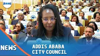 ADDIS ABABA CITY COUNCIL