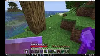 Defeating the wither on Metro SMP (minecraft)