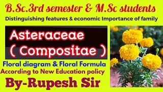 Compositae / Asteraceae Family Characteristic features #systematicbotany #rupeshsirbotany