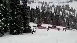 Whistler fleet of Pisten Bully / Snow Groomers / Snowcats