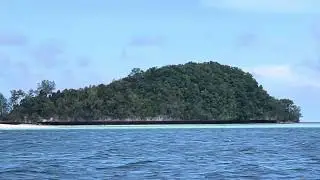 🇵🇼 Palau Rock Islands Cruise 21 #travel #digitalnomad #palau #visitpalau