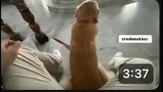 Watch till the end #funny #nollywoodboyz #dothingsyoudontwanttodo #comedy 