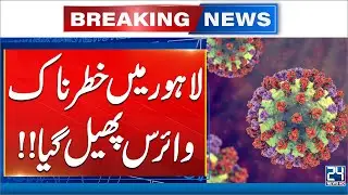 Lahore on Alert: Monkeypox Cases Rises | 24 News HD