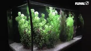 Aquarium poisson &eacute;quip&eacute; 123 litres Flex blanc de Fluval - pr&eacute;sentation