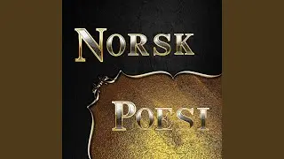 Den Nye Dag