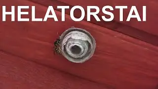 Vlokikirja: Helatorstai, grilli ja v&auml;h&auml;n kanavasta