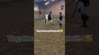 Vlog: Freiarbeit! Hast du das schon ausprobiert? 🐴 #funny #pferdem&auml;dchen #shorts#fyp#pferde#reiter