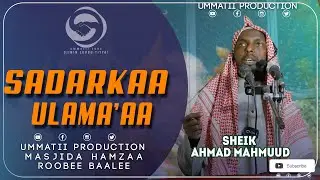 Kuxbaa Jumma Masjidaa Hamzaa Sheik Ahmad Mahmuud |Khutba Jumaa | Baale Robe #Khutba #jumaa #oromo