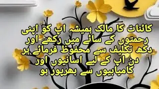 m.Irshad. Urdu Punjabi vlogs is live!