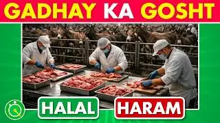 Halal or Haram Food Quiz Challenge ✅❌ in Hindi/Urdu | Islamic Quiz