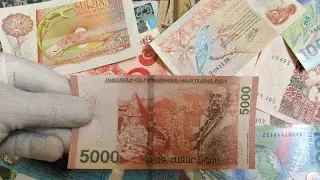 The Most Expensive Paper Money I've Ever Bought!!! A Very Rare Sighting @worldcurrencyhunt