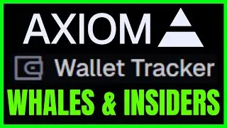 How To TRACK Whales & Insider WALLETS On Solana Meme Coins (QUICK & EASY) 2026