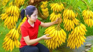 Harvesting 1000 + Banana To Sell At Market, Banana Garden |Tieu Ca - Free Bushcraft