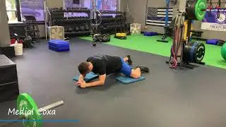 Medial Coxa