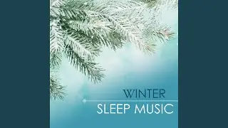 Winter Sleep Music