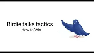 Birdies Talks Tactics - How to Win