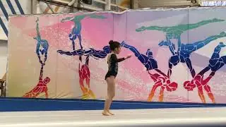 Соревнования по акробатике &laquo;Universal Acro Cup&rdquo;, 17.03.2024, пос. Московский