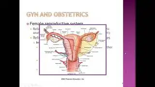 OBGYN 2019