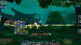 WoW Classic Eranikus (AQ Event) - Healer POV