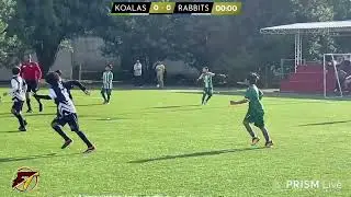 Koalas vs Rabbits Liga Afen Infantil