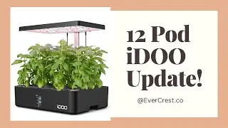 12 Pod iDOO Hydroponics System Update! | Planting Proven Winners Seeds | EverCrest