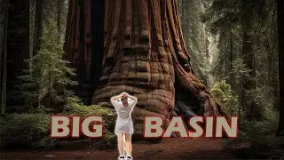 Big Basin Redwood State Park | California USA State Parks