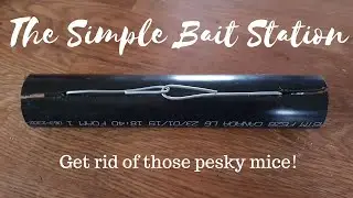 Make your own bait station - DIY