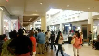 GRAND OPENING DAY the Mall at BAY PLAZA COOP CITY BRONX, NY