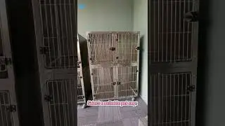 Pet cage, give pets a safe little world