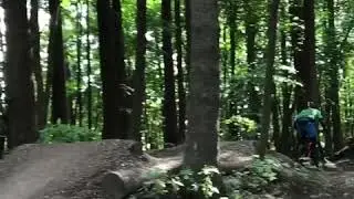 Mtb Downhill Rude skov