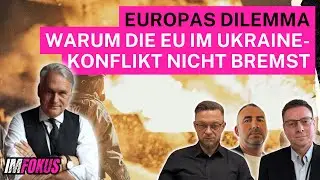 Cui Bono - Wem n&uuml;tzt es?  @bd-mitteldeutschland  IF21 Clips #usa #eu #trump #russland #ukraine
