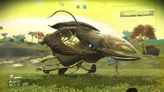 No Man's Sky - Living Ship (Starbirth) Final stage