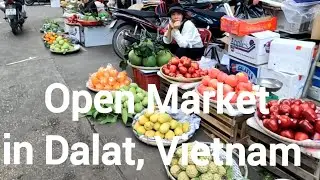 An open Market in Dalat, Vietnam 🇻🇳 2/5/24