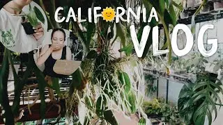 plant shop tour, plant mail unboxing & repot