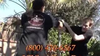 Martial Arts Classes Arcadia Personal Training & Jeet Kune Do