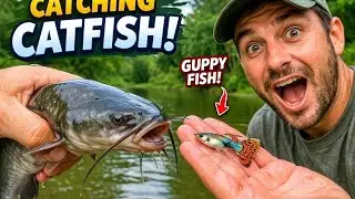 I Built A DIY Fishing Boat And Went To The River