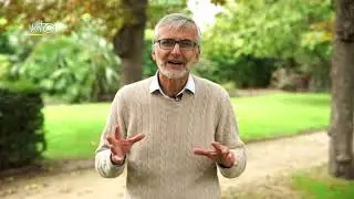 Des animaux et des hommes - La Magicienne dentel&eacute;e