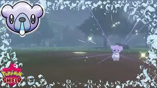 Shiny Brilliant Cubchoo - Pokemon Sword and Shield #ShinyPokemon​ #ShinyHunting​