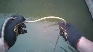 Magnetic fishing, using a neodymium search magnet, we got ancient artifacts.