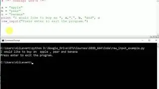raw input() to pause the program on cmd