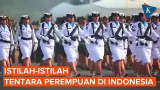 Tiga Sebutan Tentara Perempuan di Indonesia