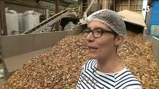L'automne, c'est aussi la saison de la chicor&eacute;e