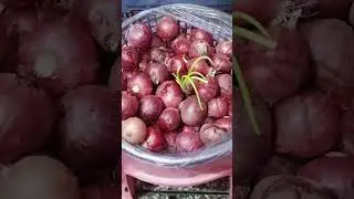 टोकरी मै क्या है😯