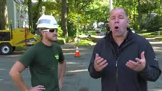 Meet Tree Services  Audubon NJ 856-795-3333 Tree Service Audubon NJ